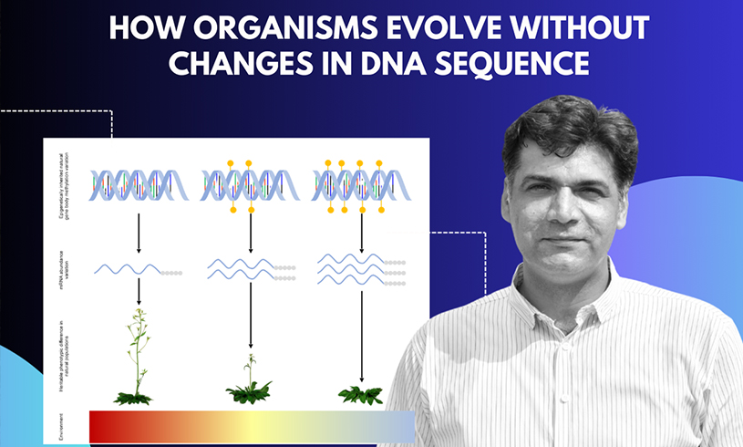 Learn More About How Plants Adapt Without Changing Genes